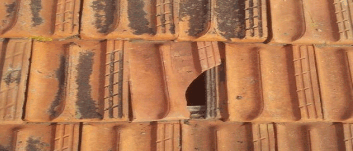 Reparation de toiture